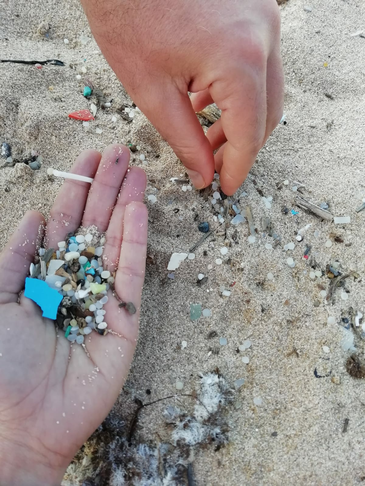 Recolección de pellets y otros micro y mesoplásticos en zona costera. Fuente: Asociación Noctiluca. (Foto: Asociación Noctiluca, CC-by)